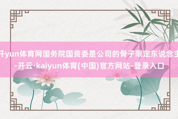 开yun体育网国务院国资委是公司的骨子限定东说念主-开云·kaiyun体育(中国)官方网站-登录入口