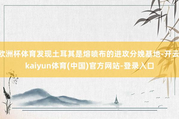 欧洲杯体育发现土耳其是熔喷布的进攻分娩基地-开云·kaiyun体育(中国)官方网站-登录入口