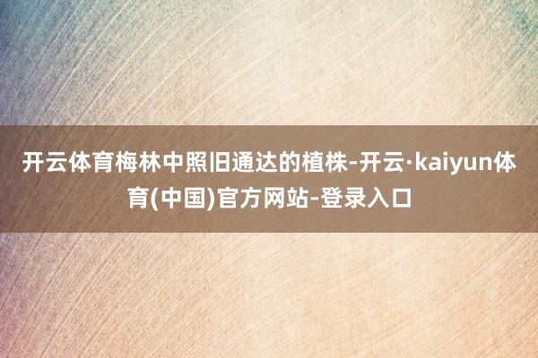开云体育梅林中照旧通达的植株-开云·kaiyun体育(中国)官方网站-登录入口