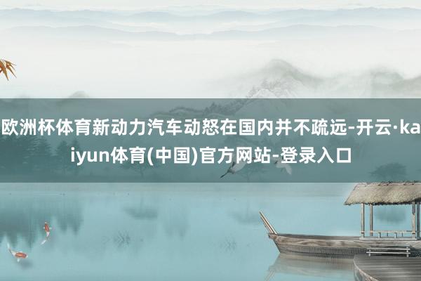 欧洲杯体育新动力汽车动怒在国内并不疏远-开云·kaiyun体育(中国)官方网站-登录入口