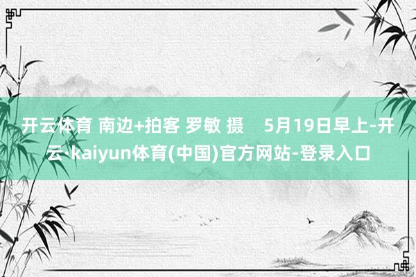 开云体育 南边+拍客 罗敏 摄    5月19日早上-开云·kaiyun体育(中国)官方网站-登录入口
