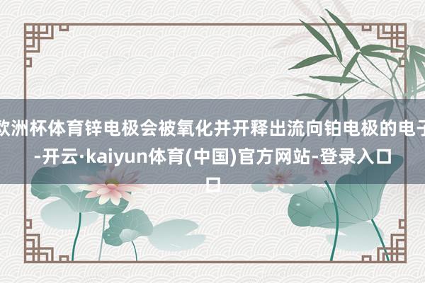 欧洲杯体育锌电极会被氧化并开释出流向铂电极的电子-开云·kaiyun体育(中国)官方网站-登录入口