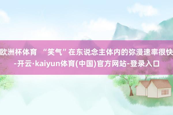 欧洲杯体育  “笑气”在东说念主体内的弥漫速率很快-开云·kaiyun体育(中国)官方网站-登录入口
